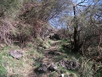 nte Fontane-01042012 104